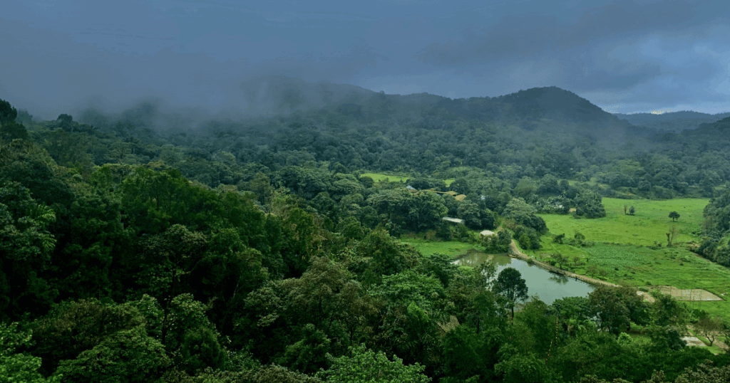 Best Travel Destinations in July in India