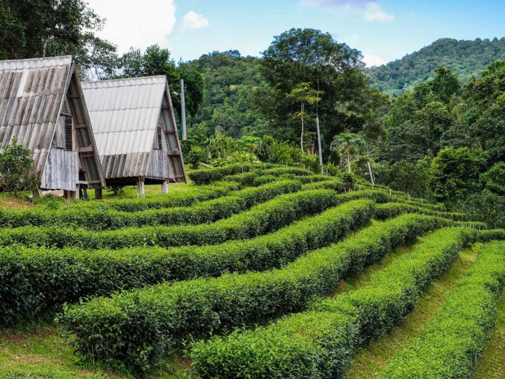 Haflong, Assam