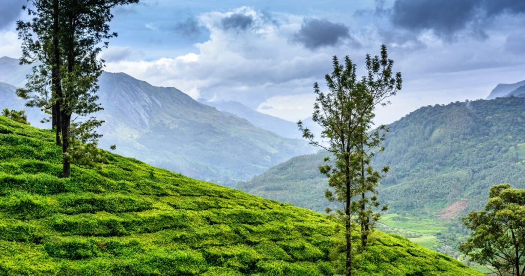 India during monsoon