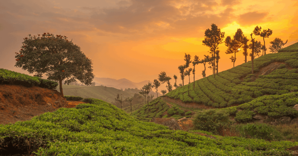 Best Travel Destinations in July in India
