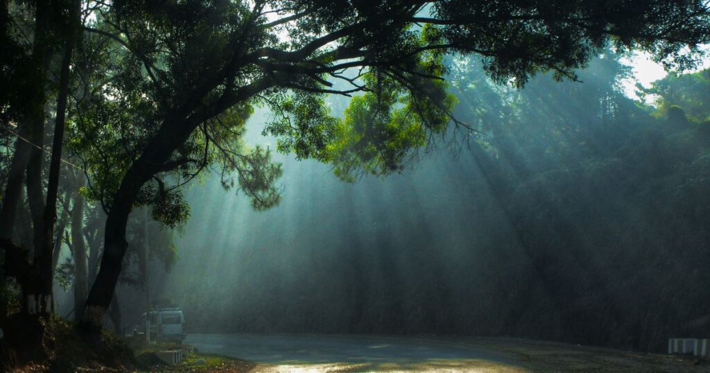 India during monsoon