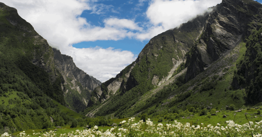 Best Travel Destinations in July in India