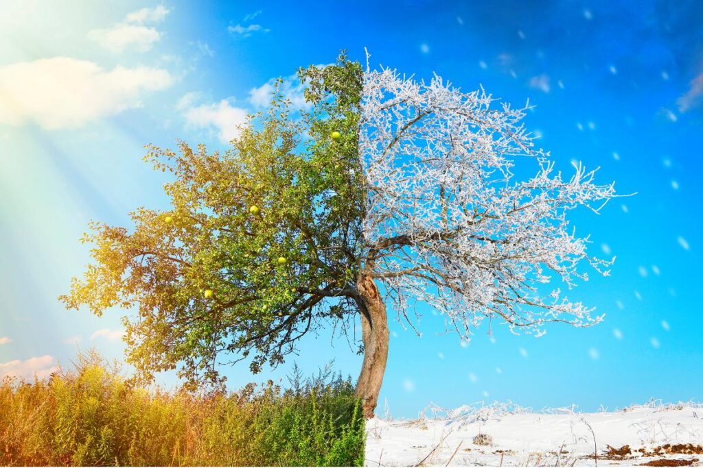 10 Countries Where Summer Feels Like Winter – Coolest Summer Destinations