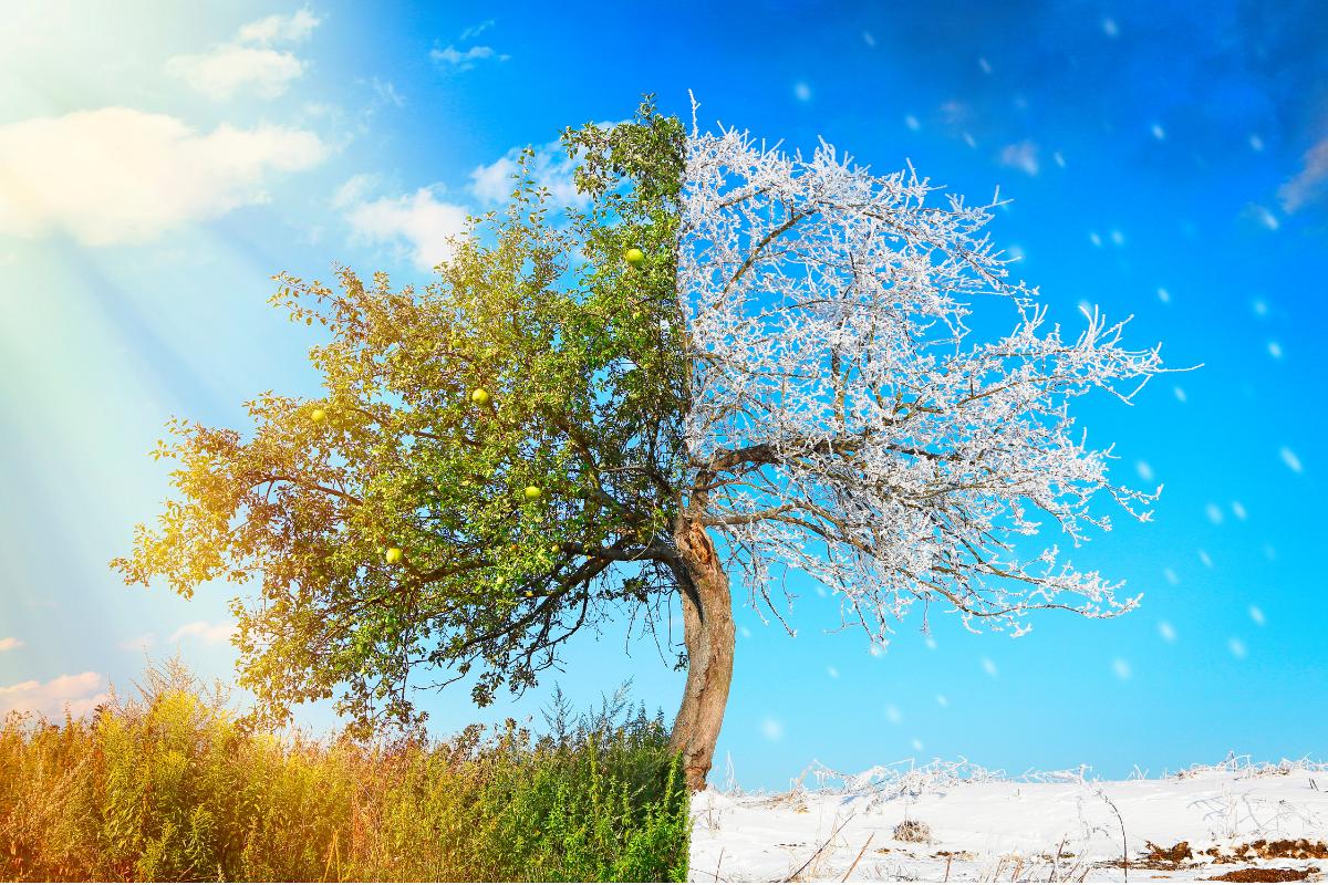 10 Countries Where Summer Feels Like Winter – Coolest Summer Destinations