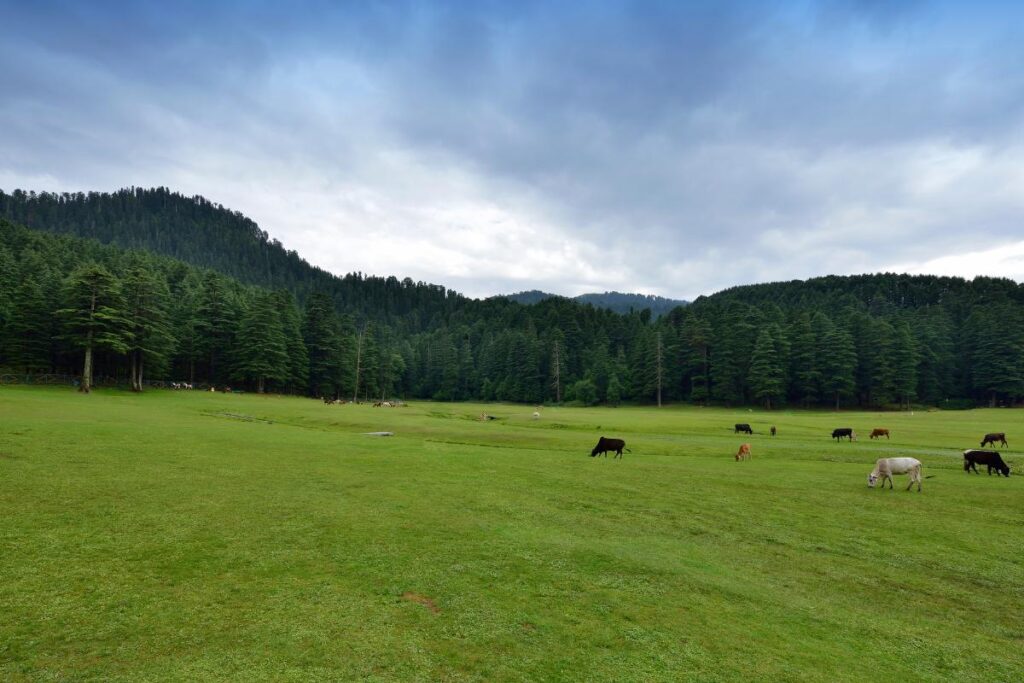 Dalhousie to Khajjiar