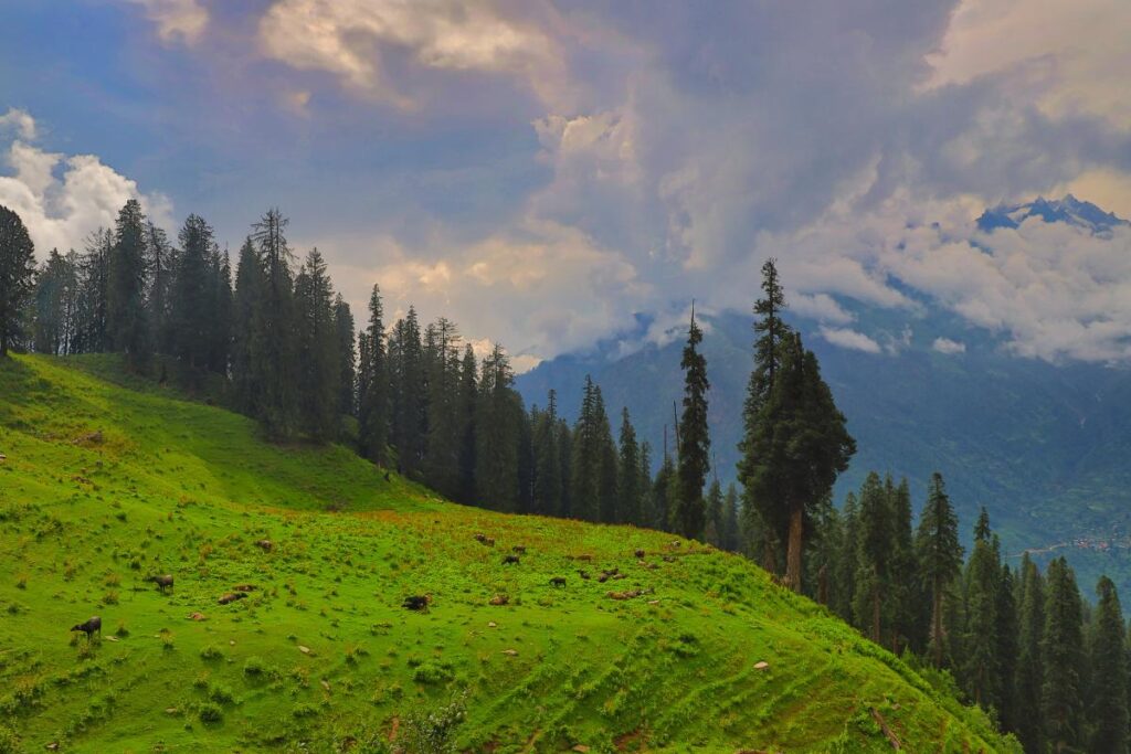 Himachal Pradesh