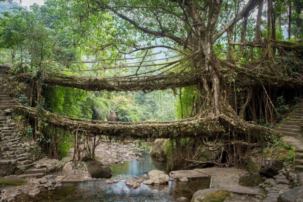 Mawlynnong, Meghalaya