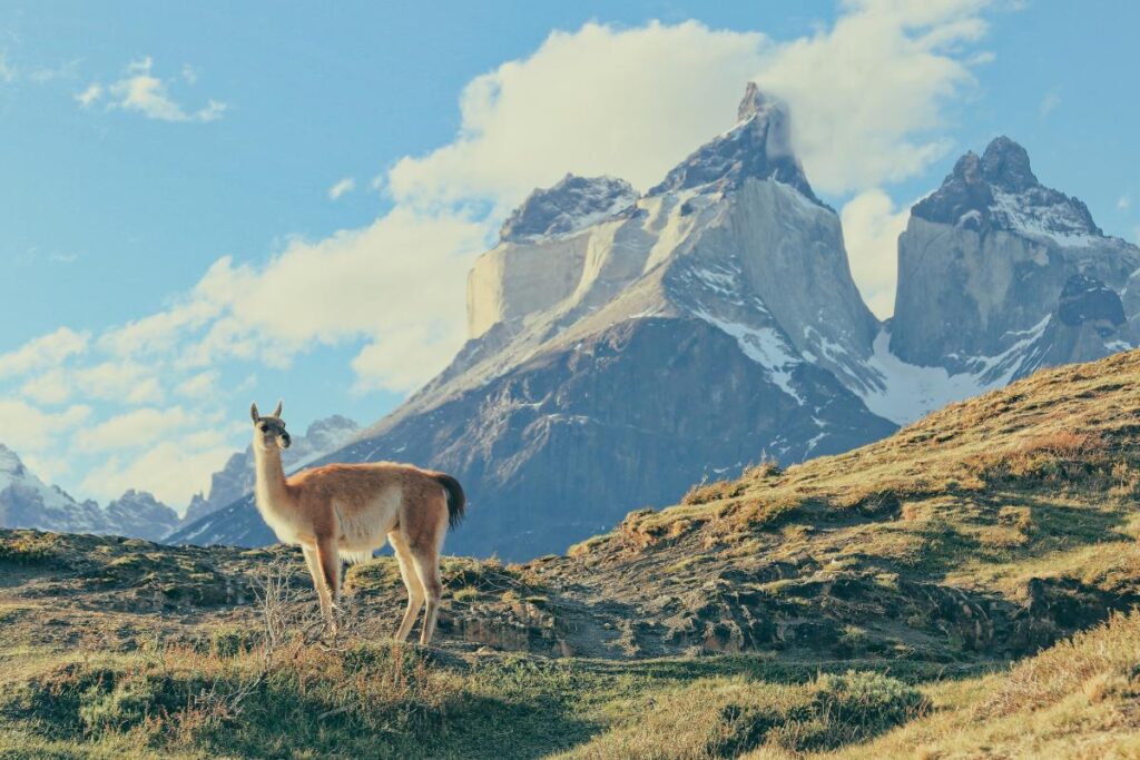 Patagonia, Chile