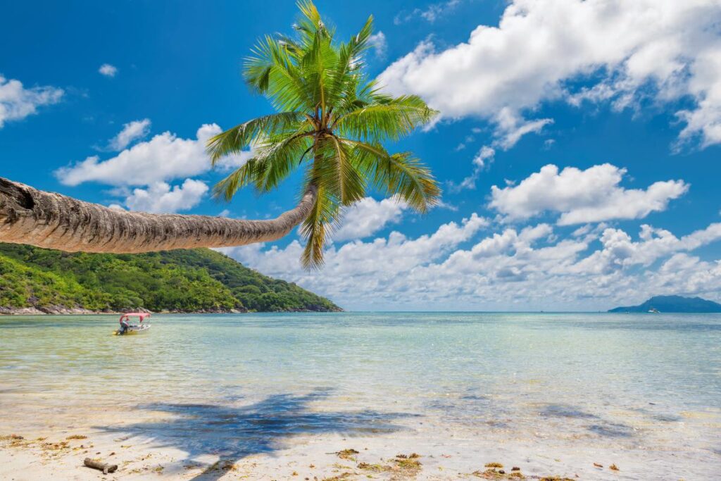 Itinerary for Exploring Goa