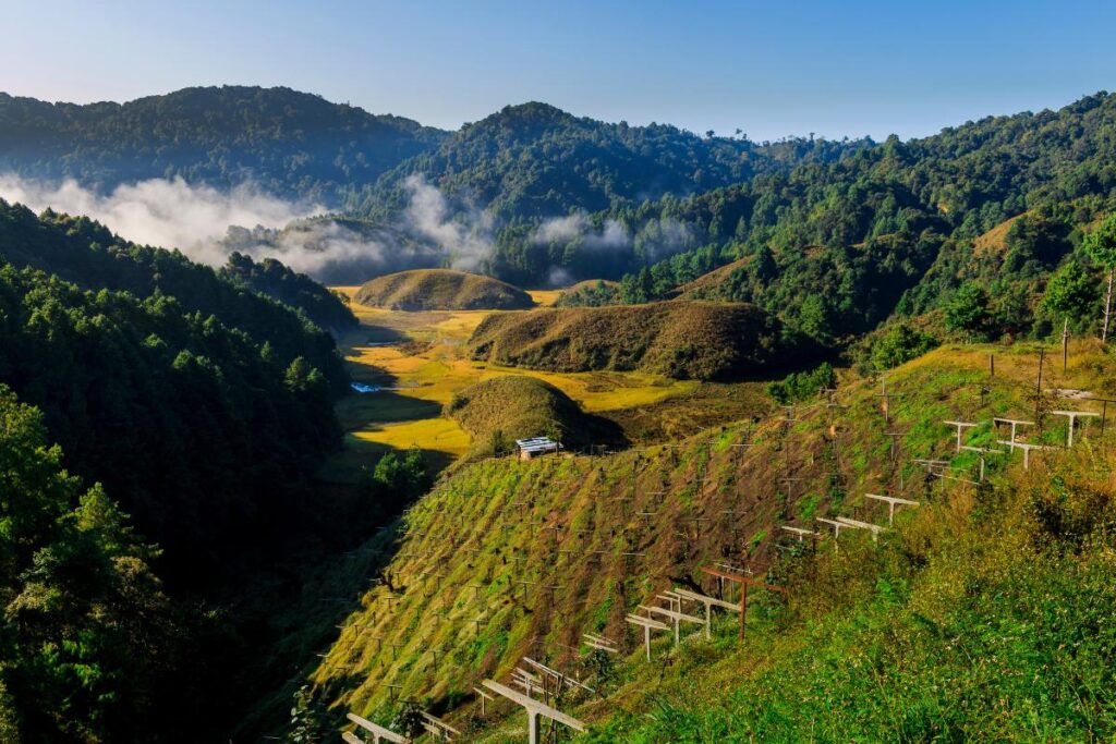 Ziro Valley, Arunachal Pradesh