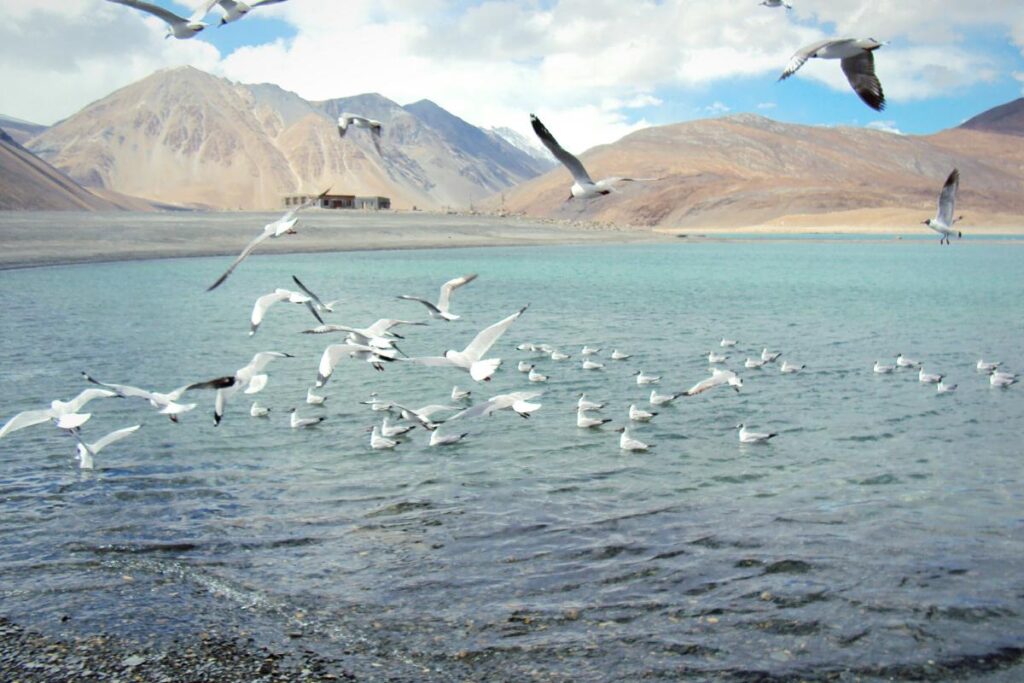 Tso Moriri
