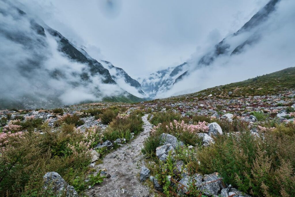 Valley of Flowers 2025 Opening Dates