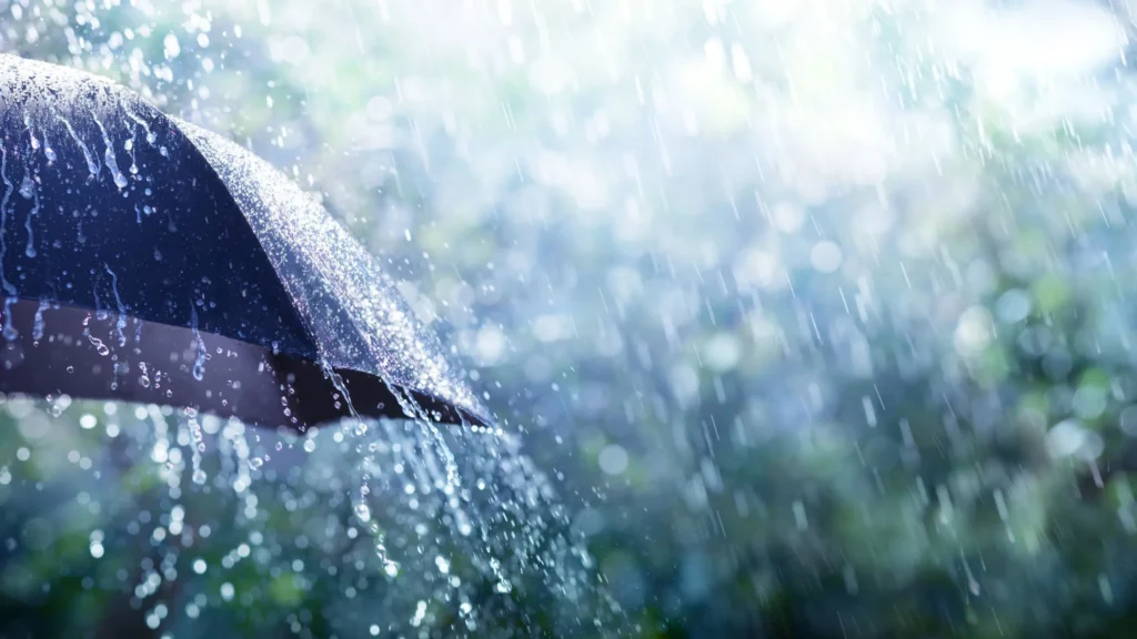 Monsoon
