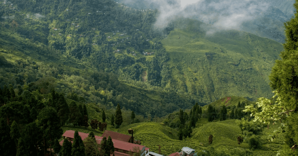 Best Places to visit in India in January