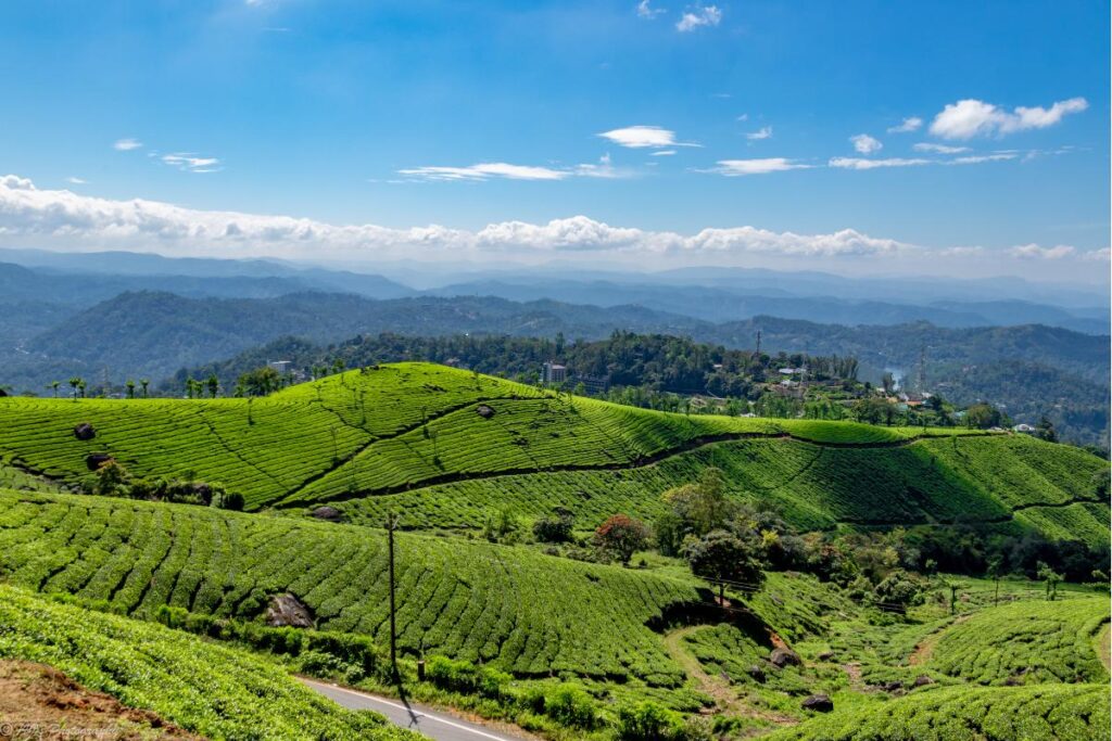 Best Places to visit in India in January