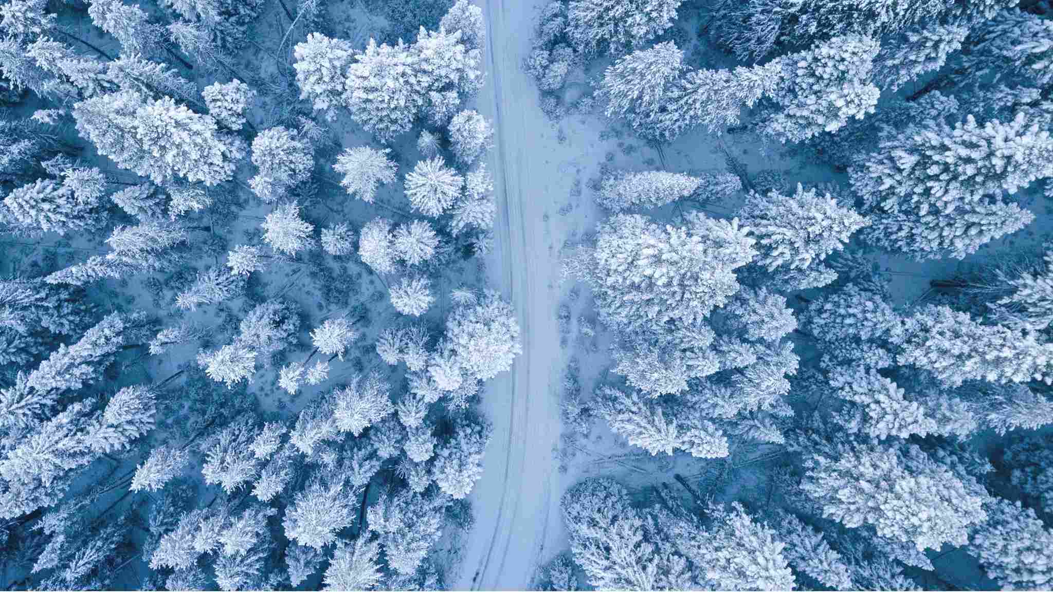 5 Best Places to Travel in December – Perfect Winter & Holiday Escapes