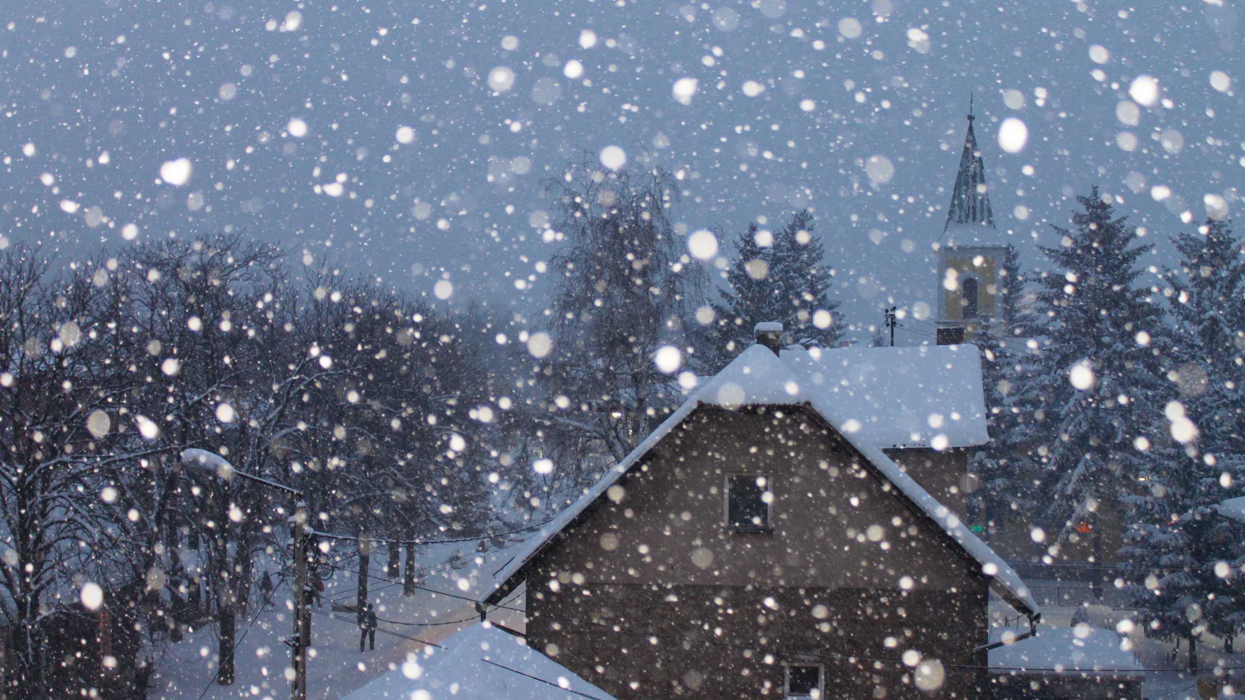 Best Places to Travel in December