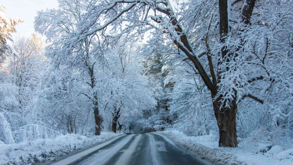 Best Places to Visit in January