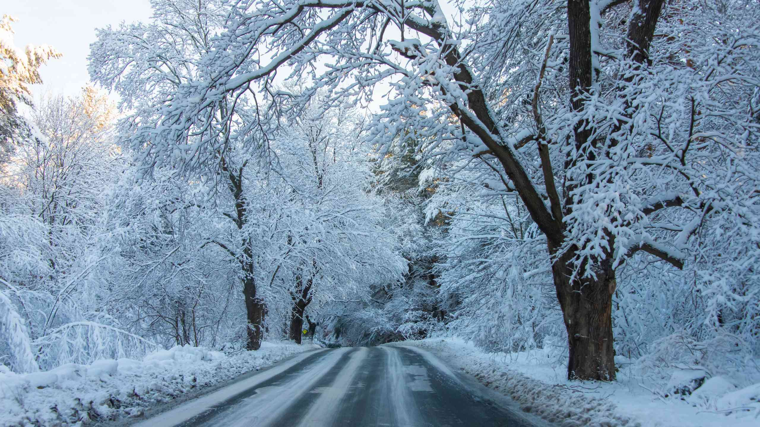 Best Places to Visit in January